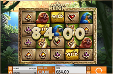 Un jeu de casino qui propose des bonus très intéressant !