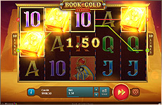 Gagnez de l'argent sur la slot Book of Gold !