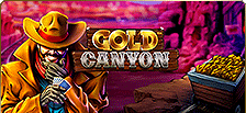 Machine à sous vidéo Gold Canyon