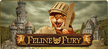 Machine à sous vidéo Feline Fury